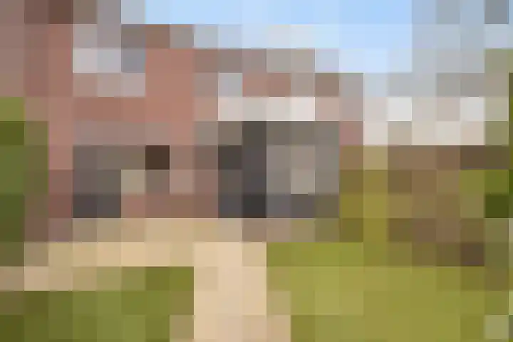 Boerendanserdijk 75 Zwolle thumbnail 15