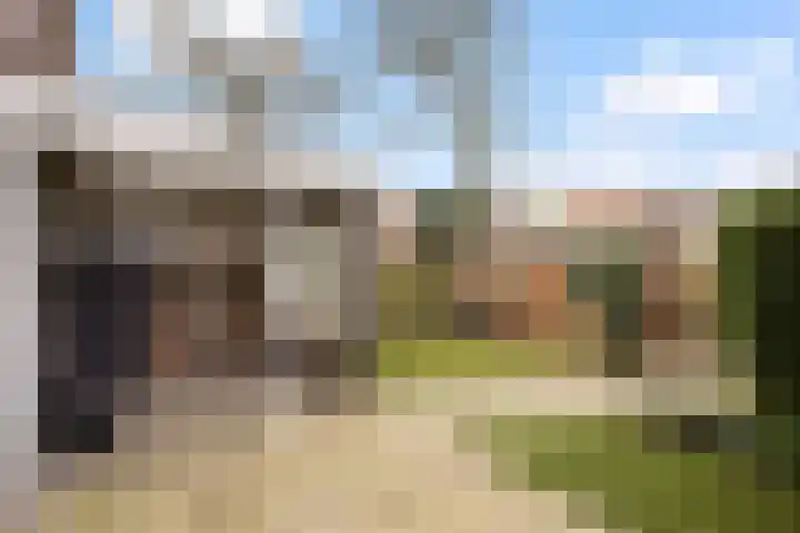 Boerendanserdijk 75 Zwolle thumbnail 16
