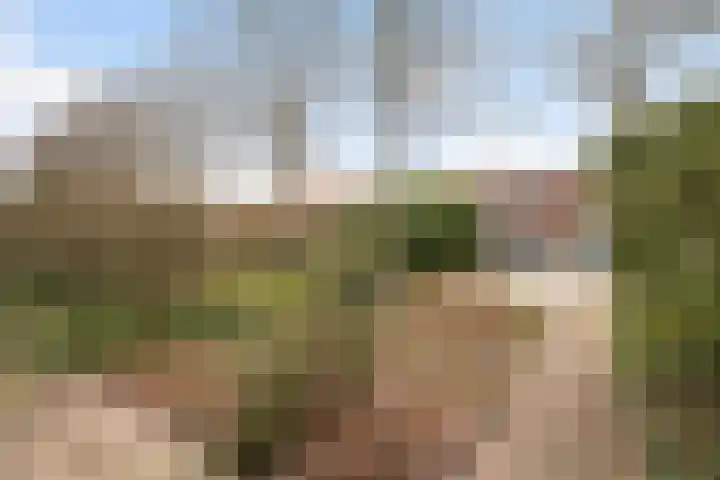 Boerendanserdijk 75 Zwolle thumbnail 4