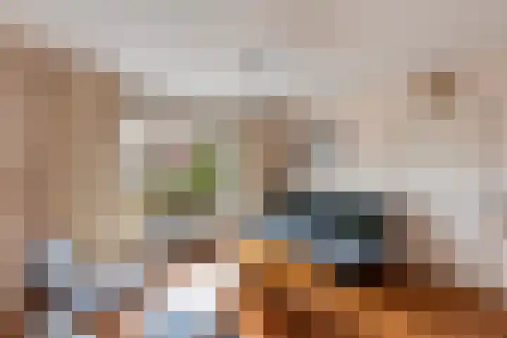 Boerendanserdijk 75 Zwolle thumbnail 9