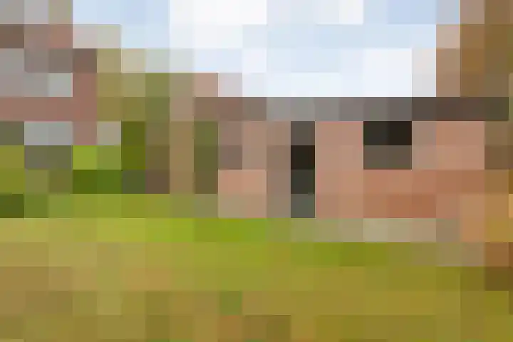 Boerendanserdijk 93 Zwolle thumbnail 33