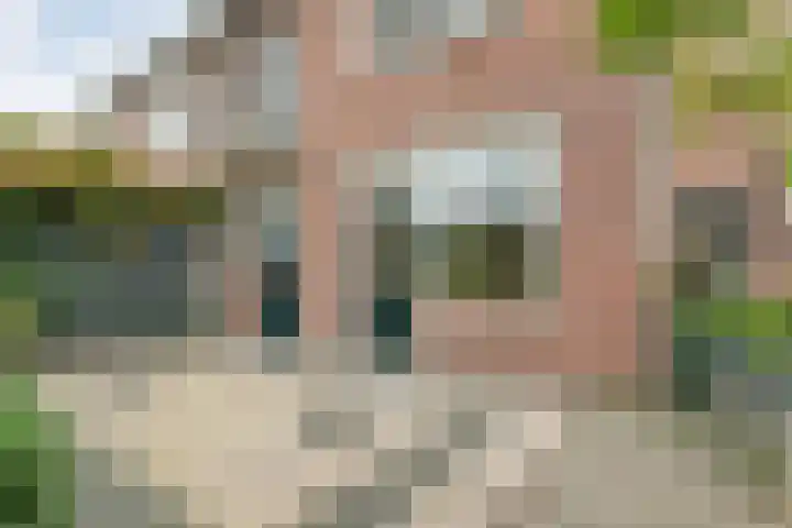 Boerendanserdijk 93 Zwolle thumbnail 38
