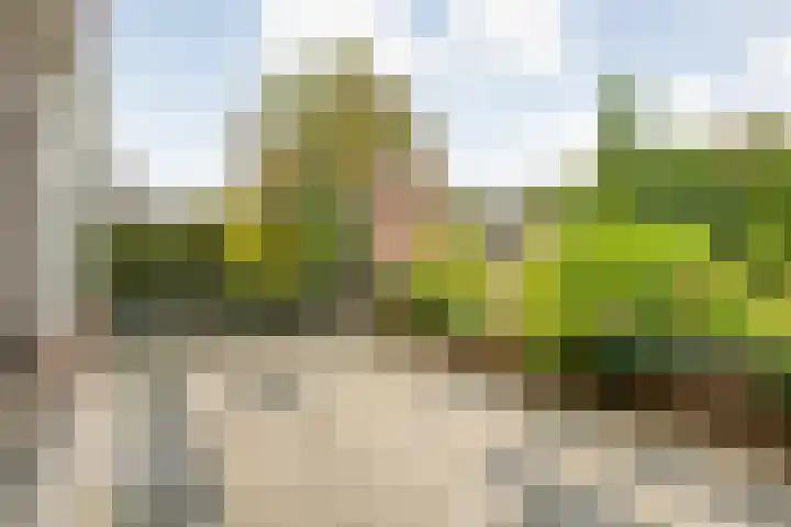 Boerendanserdijk 93 Zwolle thumbnail 39