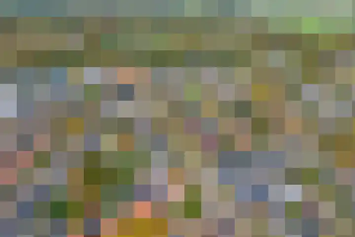 Boerendanserdijk 93 Zwolle thumbnail 4