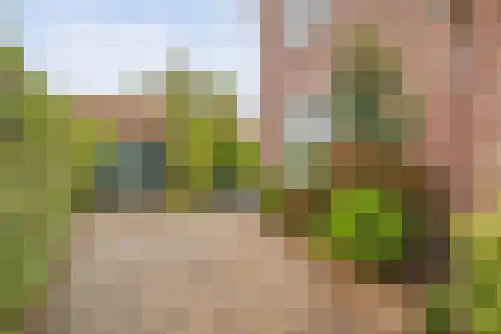 Boerendanserdijk 93 Zwolle thumbnail 41