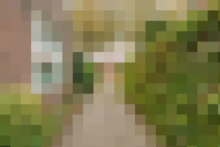Boerendanserdijk 93 Zwolle thumbnail 42