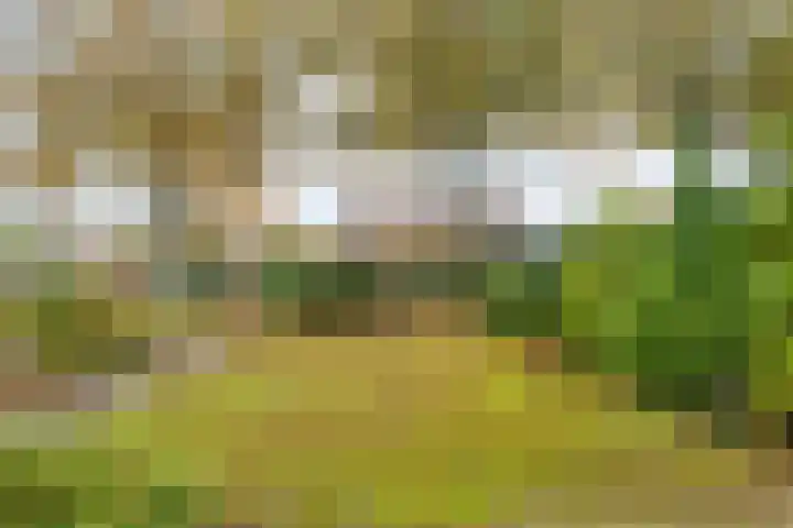 Boerendanserdijk 93 Zwolle thumbnail 43