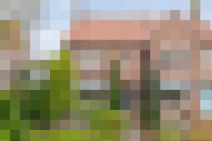 Boerendanserdijk 93 Zwolle thumbnail 45