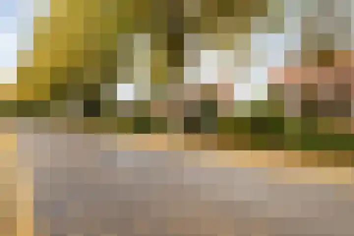 Boerendanserdijk 93 Zwolle thumbnail 46