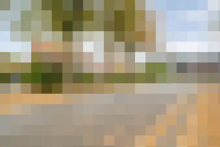Boerendanserdijk 93 Zwolle thumbnail 47