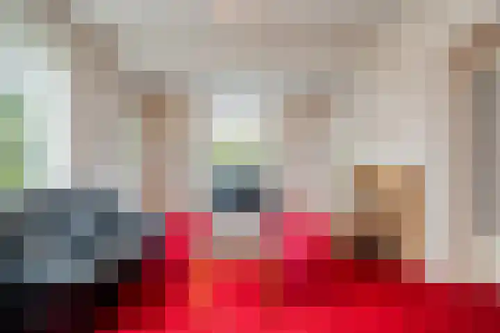 Boerendanserdijk 93 Zwolle thumbnail 8