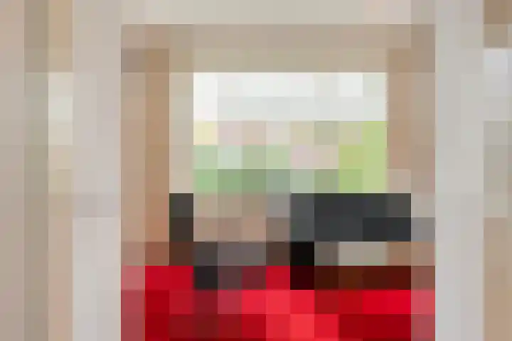 Boerendanserdijk 93 Zwolle thumbnail 9