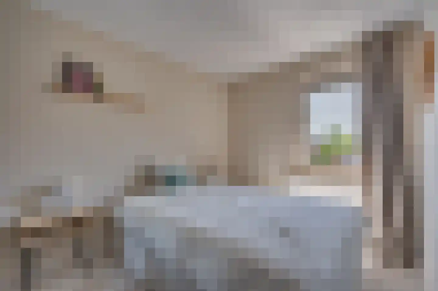 Boerendansweg 45 Venlo thumbnail 22