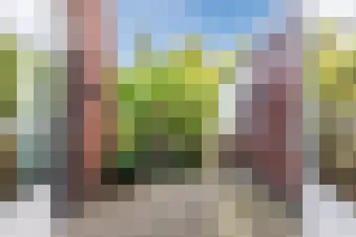 Boerendansweg 52 Venlo thumbnail 36
