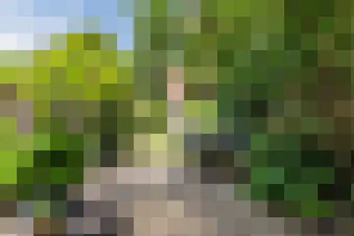 Boerendansweg 52 Venlo thumbnail 37