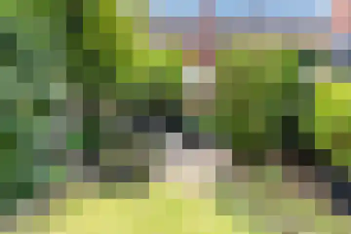 Boerendansweg 52 Venlo thumbnail 38