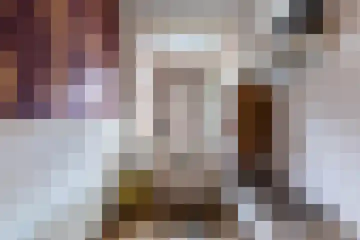 Boerendansweg 52 Venlo thumbnail 4