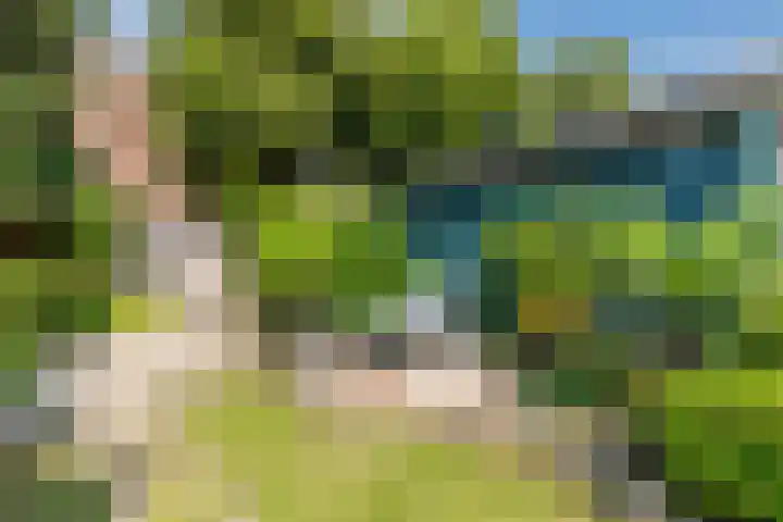 Boerendansweg 52 Venlo thumbnail 40