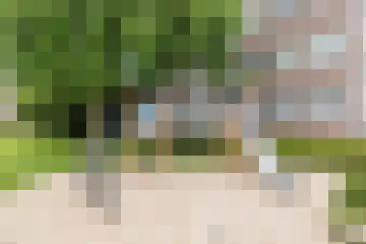 Boerendansweg 52 Venlo thumbnail 42