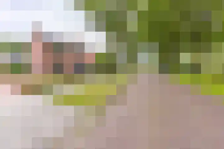 Boerendiep 3 Stadskanaal thumbnail 10