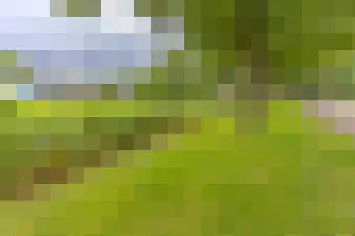 Boerendiep 3 Stadskanaal thumbnail 11
