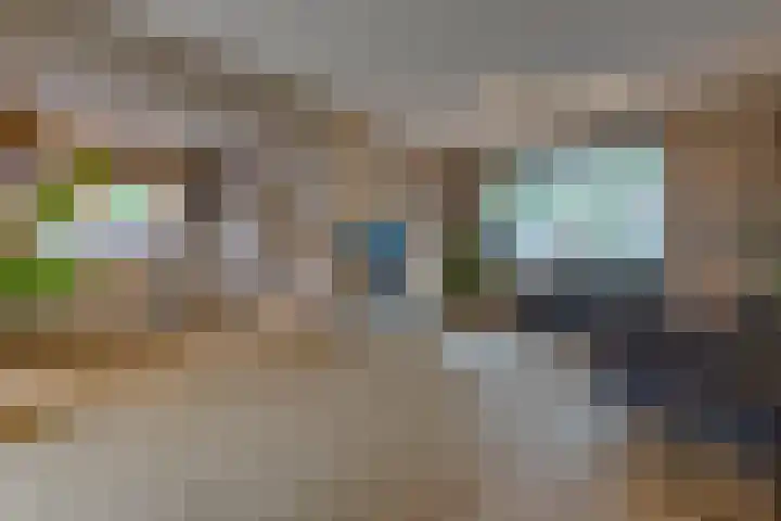 Boerendiep 3 Stadskanaal thumbnail 14