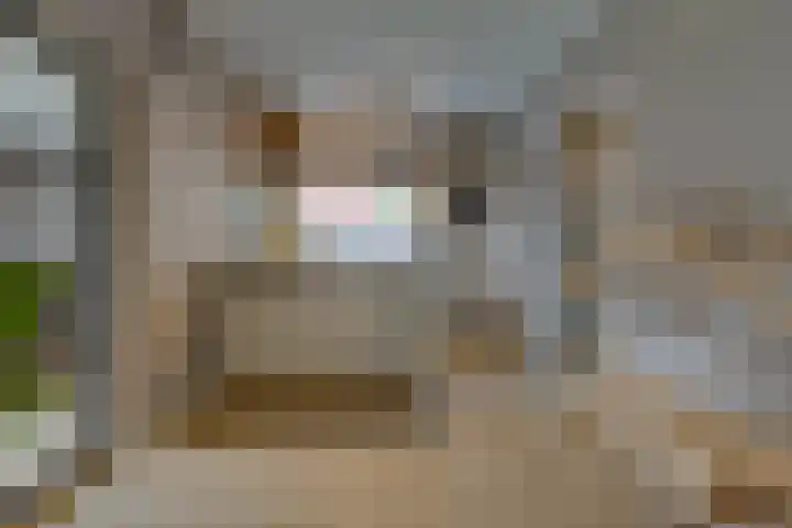 Boerendiep 3 Stadskanaal thumbnail 16