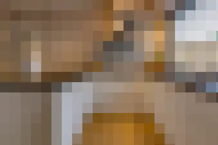 Boerendiep 3 Stadskanaal thumbnail 17
