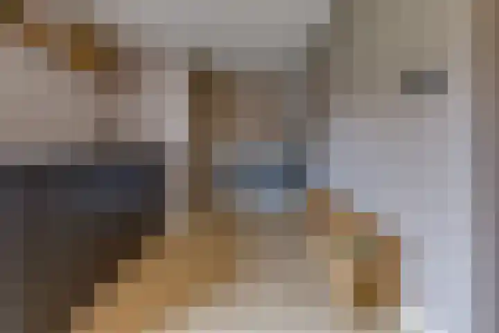 Boerendiep 3 Stadskanaal thumbnail 20