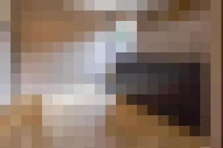 Boerendiep 3 Stadskanaal thumbnail 21