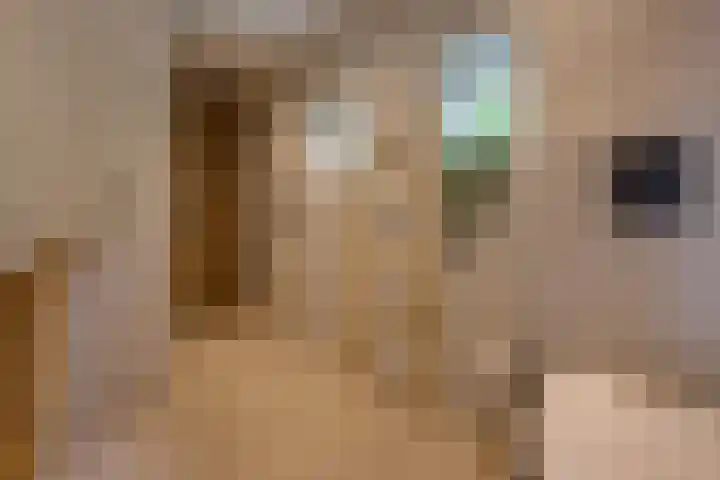 Boerendiep 3 Stadskanaal thumbnail 24
