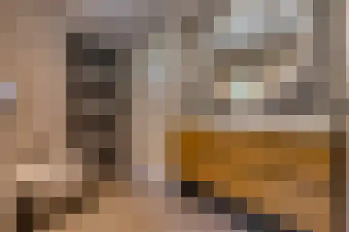 Boerendiep 3 Stadskanaal thumbnail 25