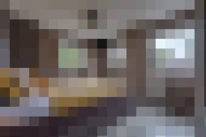 Boerendiep 3 Stadskanaal thumbnail 27