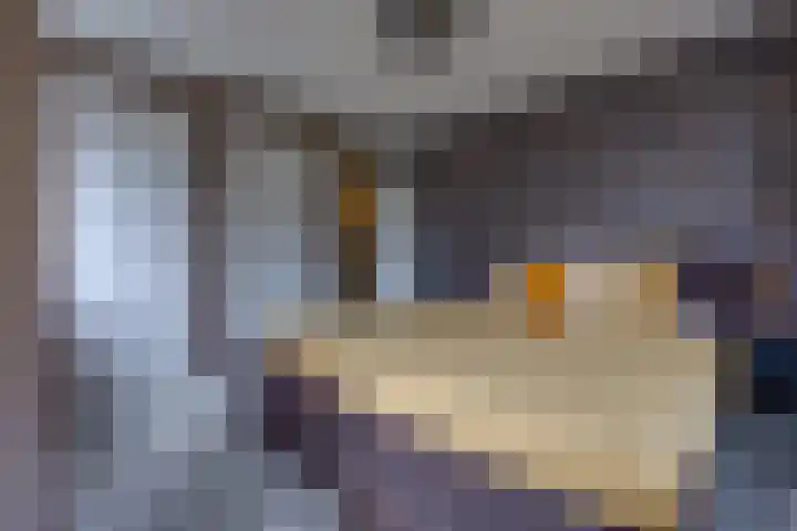 Boerendiep 3 Stadskanaal thumbnail 28