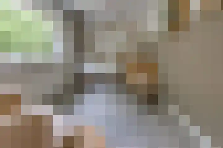 Boerendiep 3 Stadskanaal thumbnail 31