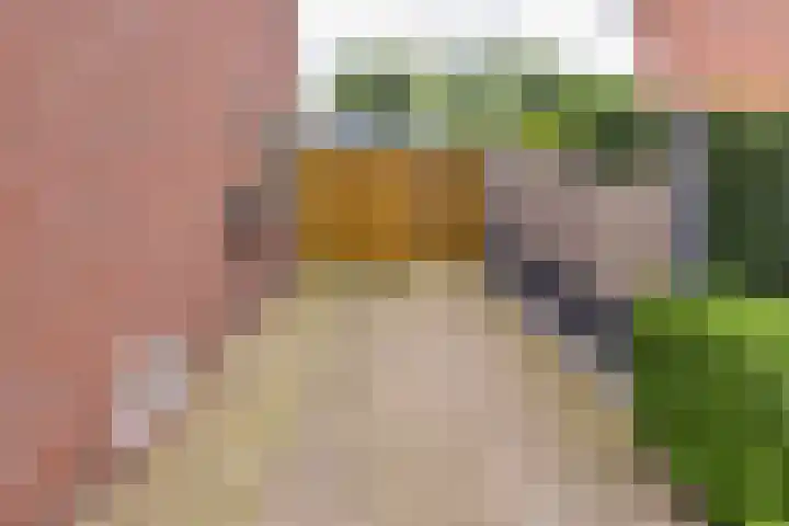 Boerendiep 3 Stadskanaal thumbnail 33