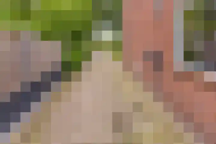Boerendiep 3 Stadskanaal thumbnail 34