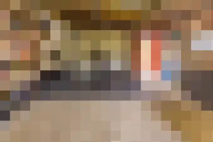Boerendiep 3 Stadskanaal thumbnail 37