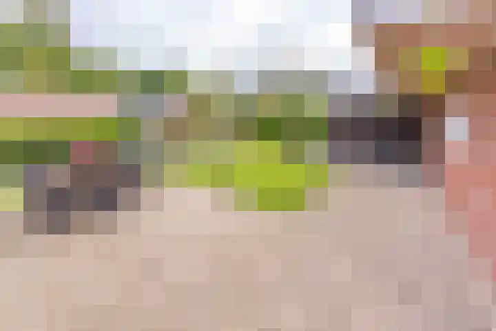 Boerendiep 3 Stadskanaal thumbnail 39