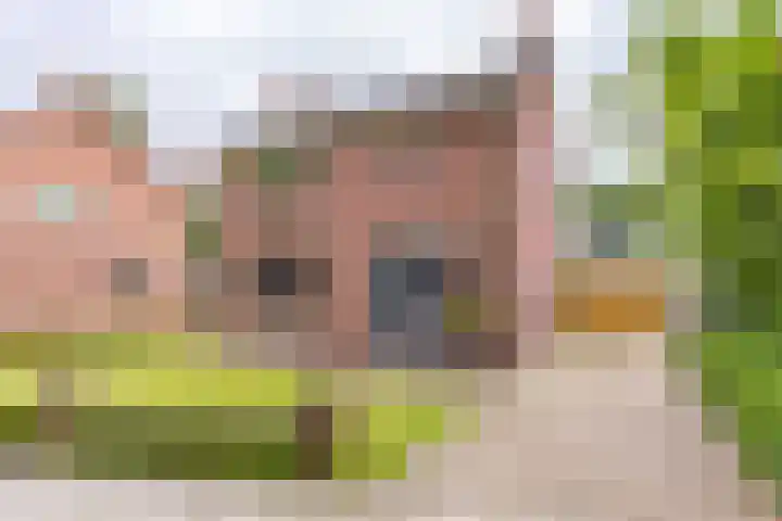 Boerendiep 3 Stadskanaal thumbnail 48