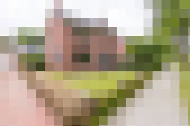 Boerendiep 3 Stadskanaal thumbnail 8