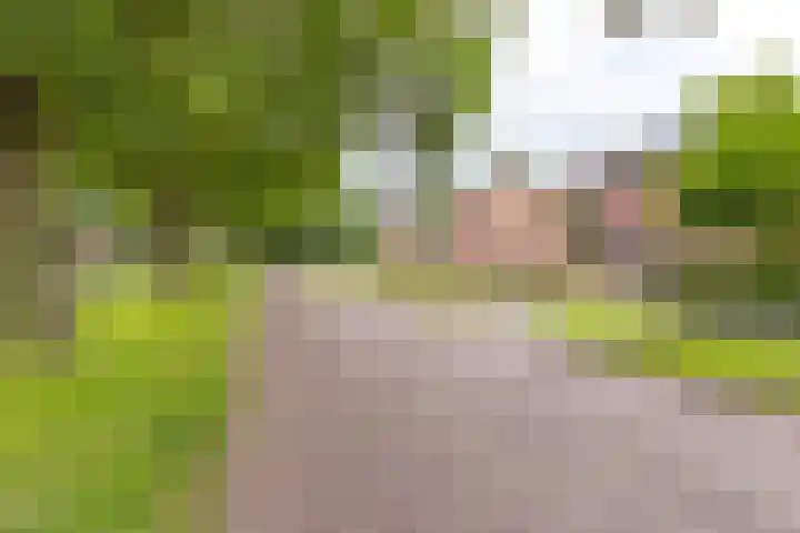 Boerendiep 3 Stadskanaal thumbnail 9
