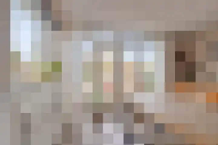 Boerendijk 64 Fijnaart thumbnail 11