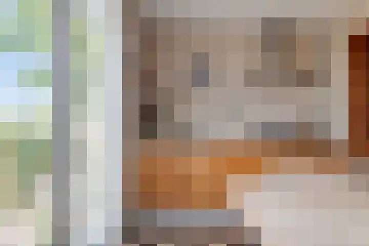 Boerendijk 64 Fijnaart thumbnail 12