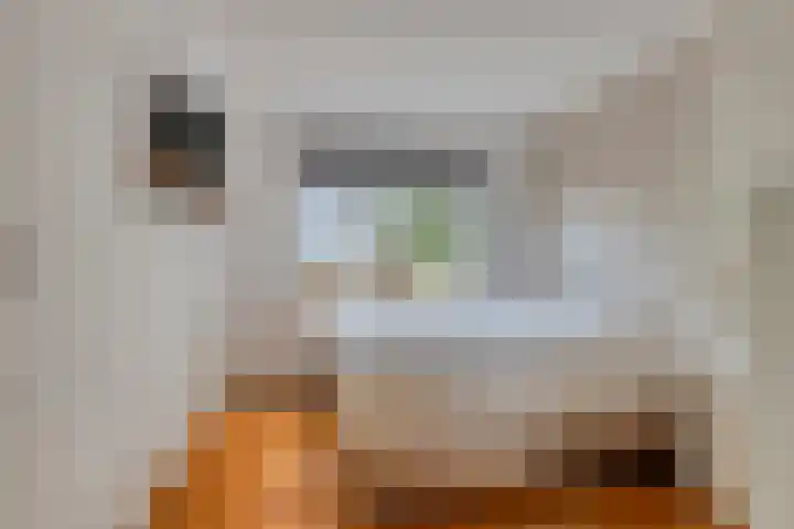 Boerendijk 64 Fijnaart thumbnail 15