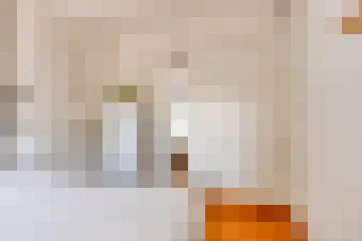 Boerendijk 64 Fijnaart thumbnail 16
