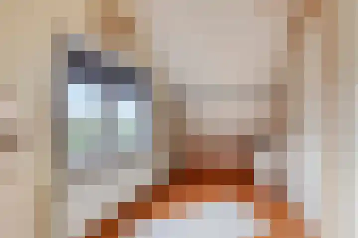 Boerendijk 64 Fijnaart thumbnail 20