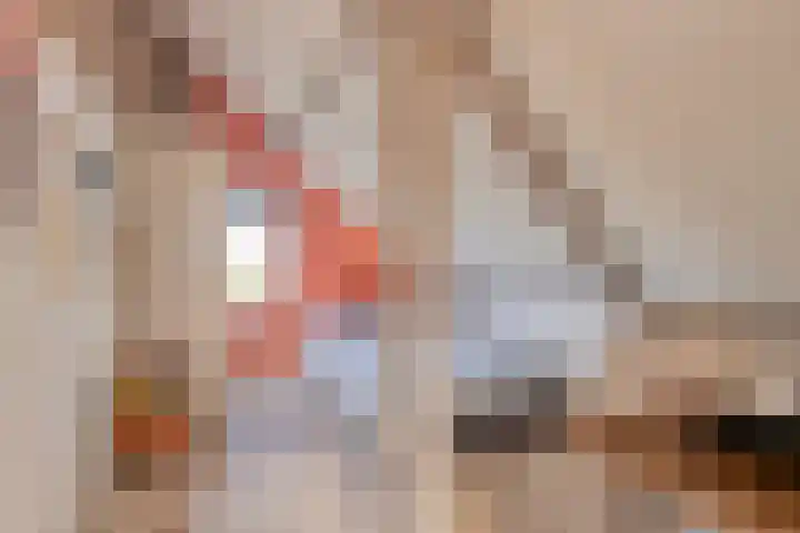 Boerendijk 64 Fijnaart thumbnail 22