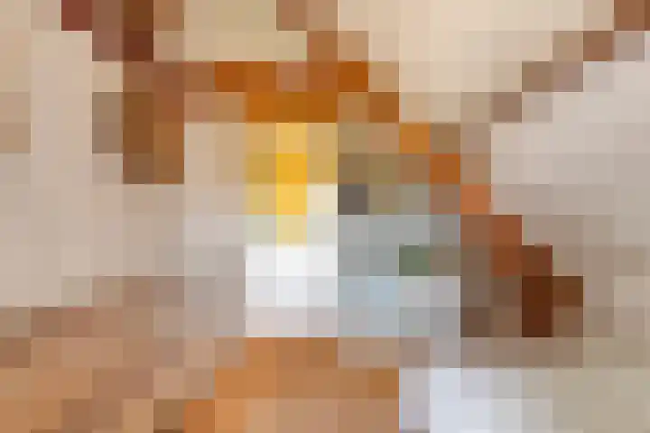 Boerendijk 64 Fijnaart thumbnail 25