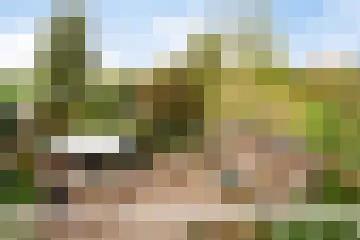 Boerendijk 64 Fijnaart thumbnail 26